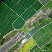 agriculture-PRISE-DE-VUES-PAR-DRONE-VISUAL-SEQUENCE agriculture-PRISE-DE-VUES-PAR-DRONE-VISUAL-SEQUENCE