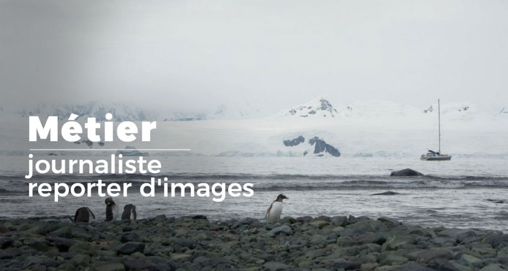 metier journaliste reporter d images visual sequence x