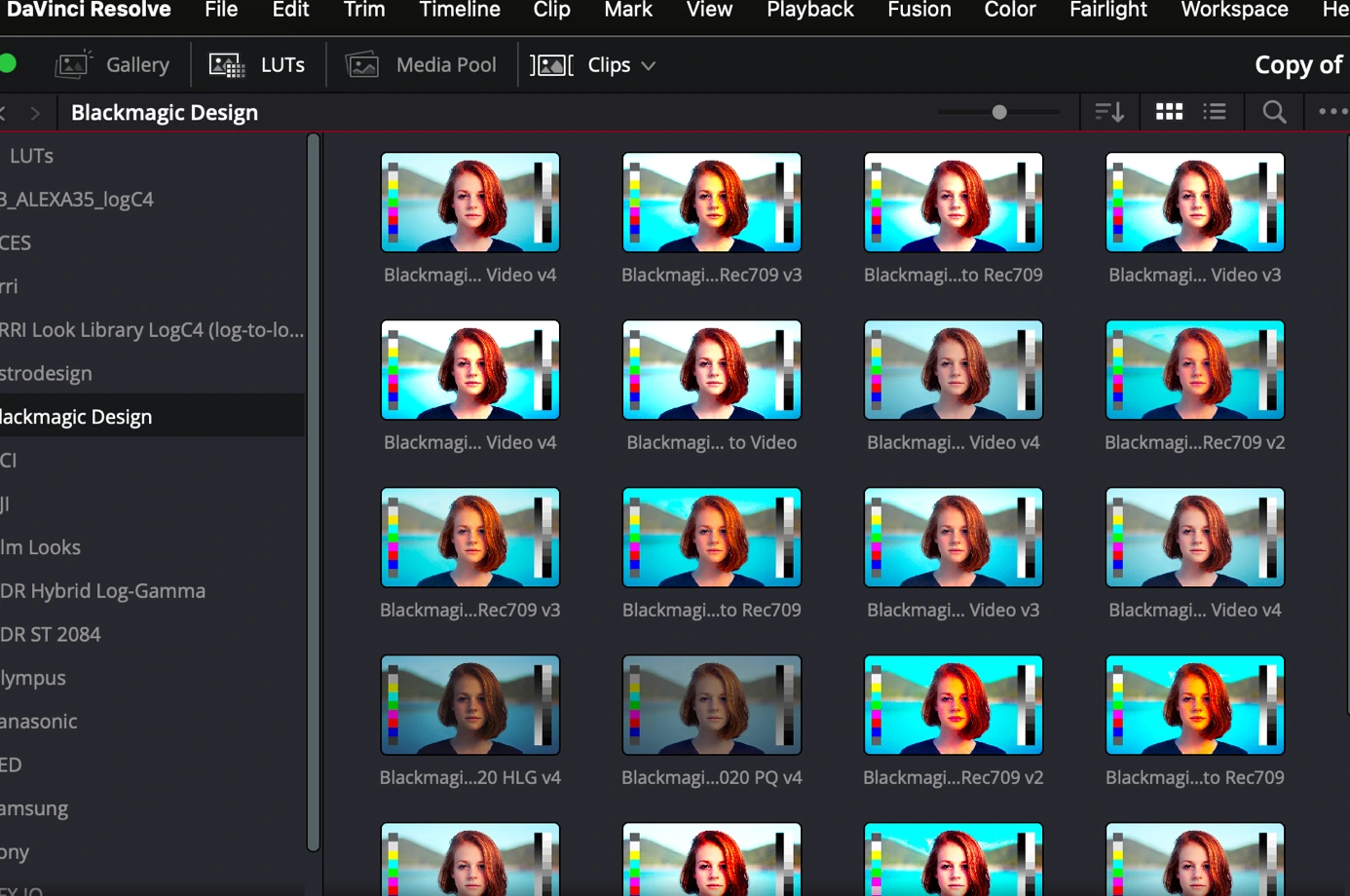 visual sequence what is a lut 