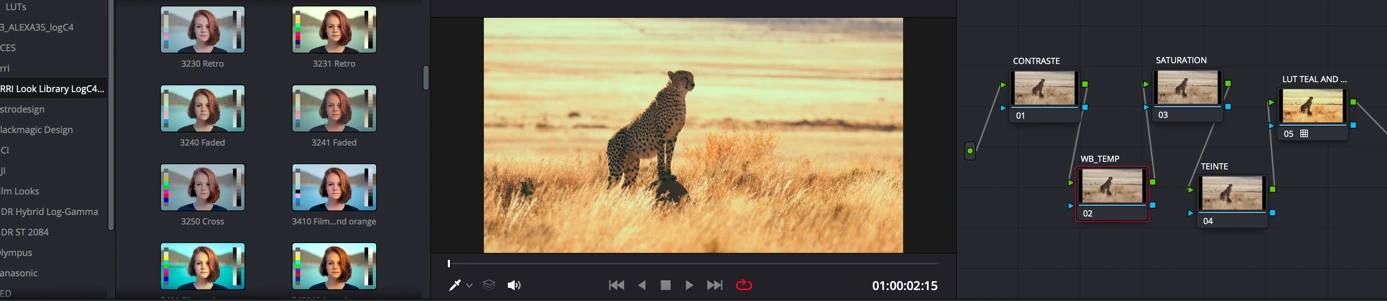 visual sequence what is a lut 